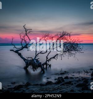 Il cielo non è il limite, la mente lo è. Calma foto di viaggio in Indonesia. Foto Stock