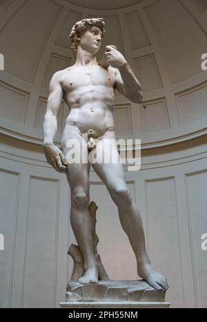 Firenze, Italia - 17 giugno 2014: Visita turistica alla Galleria dell'Accademia, sede del capolavoro della scultura rinascimentale David, realizzato in marmo tra Foto Stock