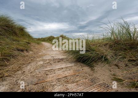 Passerella in legno che conduce attraverso dune erbose alla spiaggia di Maghera, nella contea di Donegal, Irlanda Foto Stock