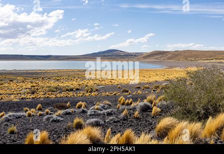 Parco Nazionale Laguna Blanca a Neuquén, Argentina - viaggio in Sud America Foto Stock