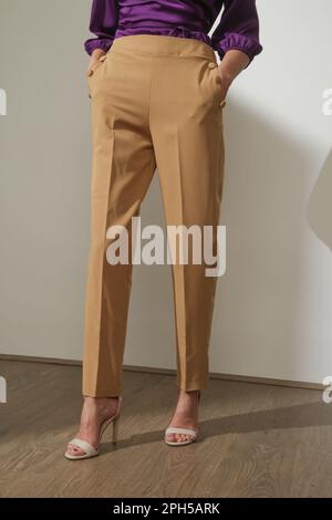 Modello femminile che indossa pantaloni alti casual eleganti beige. Foto da studio. Foto Stock