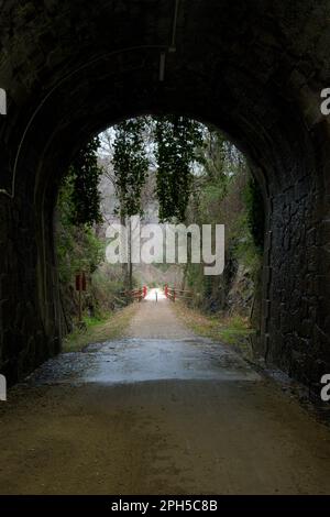 Vegetazione all'uscita del tunnel di pietra, buio, umido, vecchia ferrovia, percorso verde, Plata, Estremadura, Eurovelo Foto Stock