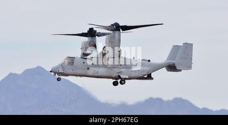 Un Marine Corps MV-22 Osprey tilt-rotore aerei di atterraggio a MCAS Yuma. Questo MV-22 appartiene a VMX-1 squadron. Foto Stock