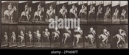 Locomozione animale, piastra 646 1887 di Eadweard Muybridge Foto Stock