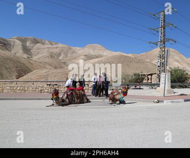 Possibilità di scattare foto con cammelli in un cartello che indica il livello del mare in una zona turistica di sosta sulla Route 1 tra Gerusalemme e il Mar Morto Foto Stock