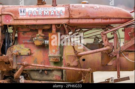 Un'immagine dettagliata del motore su un vecchio motore disassato Farmall, un trattore per coltivazione a file con aratro Foto Stock