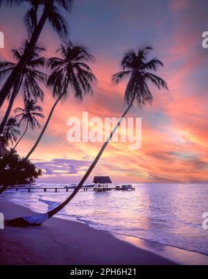 Pigeon Point al tramonto, Tobago, Trinidad e Tobago, piccole Antille, Caraibi Foto Stock