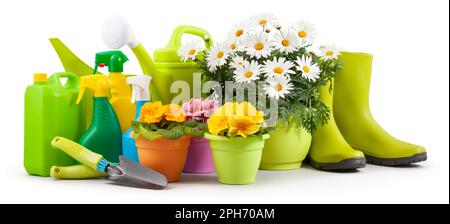 Primavera tempo, vasi colorati primrose e margherite, stivali verdi e annaffiatoio. Attrezzi da giardinaggio, cazzuola, bombole spray di pesticidi e fertilizzanti i Foto Stock