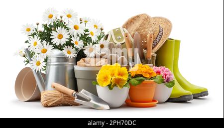 Primavera tempo fiori, vasi colorati primrose e vaso di margherite, stivali di gomma verde e annaffiatoio. Attrezzi da giardinaggio, cazzuola, cappello di paglia e guanti è Foto Stock