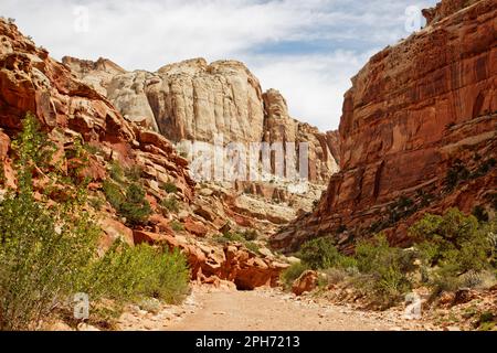 Le scogliere di Grand Wash, Capitol Reef National Park, Utah, USA Foto Stock