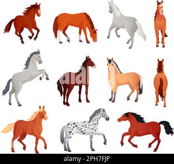 Il cavallo pone. Cavalli selvaggi a piedi o in galoppo in corsa, arabian mare farm animale hoof gait trotter correre pascolo purosangue, cartoni animati ingegnoso illustrazione vettoriale di animali selvatici stallone disegno Illustrazione Vettoriale