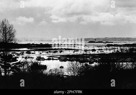 AJAXNETPHOTO. 1976. BURSLEDON, INGHILTERRA. - YACHTING MECCA - FAMOSO FIUME HAMBLE CHE SI SNODA A SUD-OVEST VERSO SOUTHAMPTON WATER E IL SOLENT; IL FIUME HA MOORINGS PER PIÙ DI 3500 BARCHE SU TROTTI E IN DIVERSI GRANDI PORTI TURISTICI. IL FIUME SI SVUOTA NELLE BASSE PORTATE DELL'ACQUA DI SOUTHAMPTON DA DOVE GLI YACHT POSSONO NAVIGARE ATTRAVERSO LA TRAVERSATA SOLENT DI 5 MIGLIA FINO A COWES (SFONDO). LA FAMOSA TORRE RADAR CALSHOT, L'AVAMPOSTO PER IL CONTROLLO DEL PORTO DI SOUTHAMPTON È VISTO IN UNA SILHOUETTE AL CENTRO DESTRO.PHOTO:PETER EASTLAND/AJAX RIF:MX340 220605 11 (762204 GR2) Foto Stock