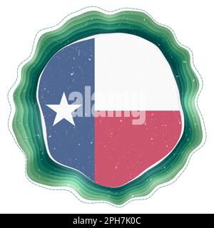 Bandiera del Texas nella cornice. Distintivo dello stato degli Stati Uniti. Insegna circolare a strati intorno alla bandiera del Texas. Elegante illustrazione vettoriale. Illustrazione Vettoriale