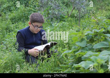 Un ragazzo sta leggendo un libro in natura. Rilassatevi sull'erba in giardino. Foto Stock