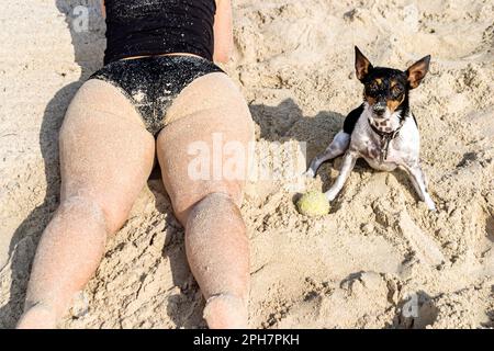 Miami Beach Florida, animale domestico cane donna sabbia femmina sole abbronzatura, Foto Stock