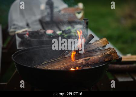 Il braciere fumante di una forma rotonda. La legna da ardere si illumina nel braciere sullo sfondo di erba verde. Il concetto di pic-nic, relax, grill Foto Stock