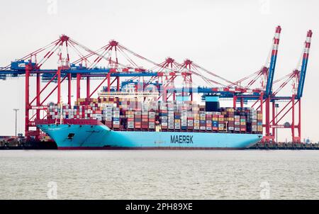 Wilhelmshaven, Germania. 20th Mar, 2023. La nave portacontainer Morten Maersk della compagnia di navigazione danese Maersk Line si trova su un muro di banchina presso il terminal dei container JadeWeserPort. Il Ministero dell'economia della bassa Sassonia, l'autorità portuale della bassa Sassonia e le società portuali di Niedersachsen, Niedersachsen Ports e JadeWeserPort Realisierungs GmbH & Co KG riferirà sull'attuale situazione dei porti marittimi della bassa Sassonia in occasione di una conferenza stampa. Credit: Hauke-Christian Dittrich/dpa/Alamy Live News Foto Stock