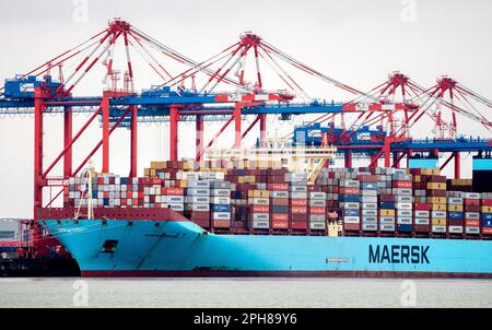 Wilhelmshaven, Germania. 20th Mar, 2023. La nave portacontainer Morten Maersk della compagnia di navigazione danese Maersk Line si trova su un muro di banchina presso il terminal dei container JadeWeserPort. Il Ministero dell'economia della bassa Sassonia, l'autorità portuale della bassa Sassonia e le società portuali di Niedersachsen, Niedersachsen Ports e JadeWeserPort Realisierungs GmbH & Co KG riferirà sull'attuale situazione dei porti marittimi della bassa Sassonia in occasione di una conferenza stampa. Credit: Hauke-Christian Dittrich/dpa/Alamy Live News Foto Stock