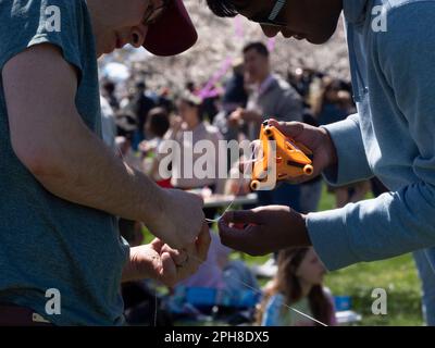 26 marzo 2023, Washington, District of Columbia, USA: Samir Furth e Kay ramki lavorano diligentemente per sformare le loro corde di aquilone. Con centinaia di aquiloni che riempiono il cielo durante l'annuale Blossom Kite Festival, le corde incrociate sono inevitabili. (Credit Image: © sue Dorfman/ZUMA Press Wire) SOLO PER USO EDITORIALE! Non per USO commerciale! Foto Stock