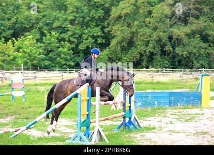 Giovane cavaliere a cavallo che salta sopra ostacolo sul suo corso in competizione Foto Stock