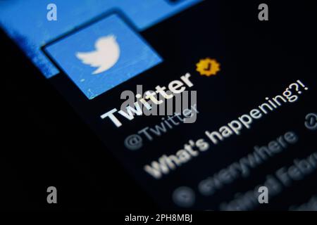 Kaunas, Lituania - 2023 marzo 27: Primo piano dell'account twitter su twitter. Segno di spunta sull'icona blu verificata Foto Stock