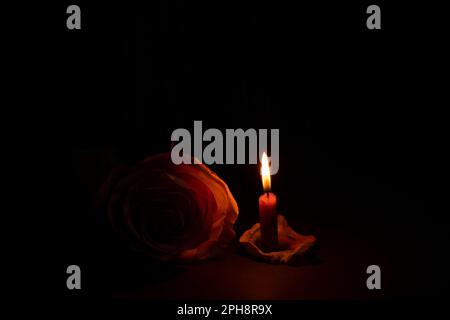 una fiamma di candela e accanto ad una rosa nel primo piano scuro Foto Stock