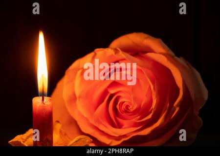 una fiamma di candela e accanto ad una rosa nel primo piano scuro Foto Stock