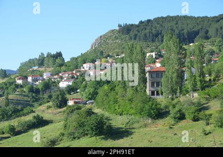 Grecia, Tessaglia, Larisa, Elassona Kokkinpilos tradizionale villaggio Chiesa di San Paraskevi, dipinti religiosi e iconostasi in legno intagliato Foto Stock