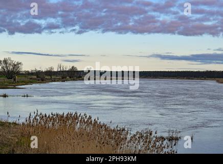 Ratzdorf, Germania. 27th Mar, 2023. Il confine tedesco-polacco fiume Oder. Per un futuro sicuro del fiume di frontiera comune, i gruppi parlamentari Bündnis 90/ Die Grünen nel Brandeburgo e nel Bundestag tedesco invitano ad una conferenza Oder tedesco-polacca che si terrà a Francoforte (Oder) il 27 marzo 2023. Gli esperti tedeschi e polacchi della scienza, della politica e della società civile parleranno di concetti e visioni su come l’Oder può essere protetto e utilizzato in modo sostenibile in tempi di crisi climatica. Credit: Patrick Pleul/dpa/Alamy Live News Foto Stock