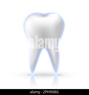 dente bianco a 3d mesh con strato protettivo blu luminoso isolato su sfondo bianco. Dente umano vettoriale realistico con riflessione. Illustrazione Vettoriale