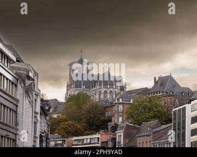 Foto della cattedrale di Liegi nel pomeriggio. Cattedrale di Liegi, altrimenti St La Cattedrale di Paolo, Liegi, a Liegi, in Belgio, fa parte dell'erita religiosa Foto Stock