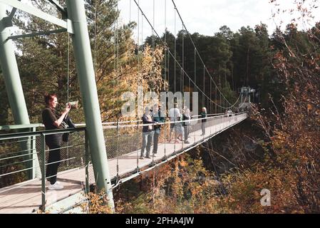 Molti turisti camminano lungo il ponte sospeso sul fiume Katun fino all'isola sulle montagne della foresta per ammirare le attrazioni turistiche di Altai Foto Stock