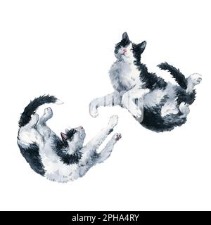 Due gatti bicolore in bianco e nero. Tracciato di ritaglio della pittura ad acquerello isolato su sfondo bianco. Grafica per tessuto, T-shirt, cartolina, saluto Foto Stock