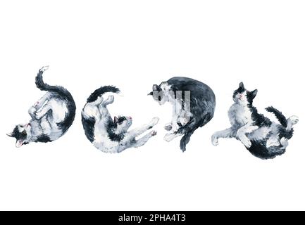 Set bicolore nero e bianco gatti stretching pose. Tracciato di ritaglio della pittura ad acquerello isolato su sfondo bianco. Grafica per tessuto, T-shirt, postca Foto Stock