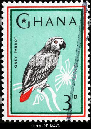 Pappagallo grigio sul francobollo del Ghana Foto Stock
