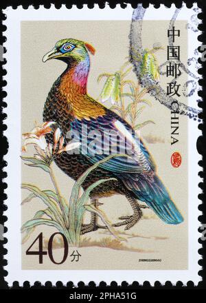 Himalayan monal su francobollo cinese Foto Stock