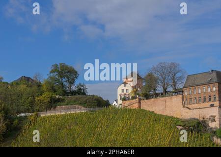 Vista sulla città tedesca di Saarburg con il fiume chiamato Saar Foto Stock