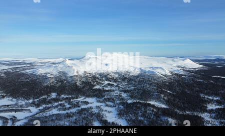 Una splendida vista aerea che mostra le montagne innevate e gli alberi densi in inverno Foto Stock