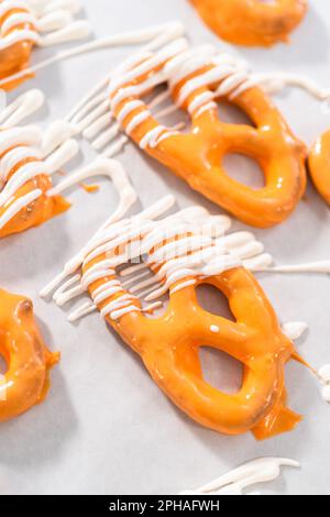 Pretzel Twist ricoperta di cioccolato da buongustai Foto Stock