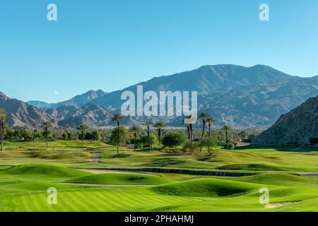 Prato verde e palme in un campo da golf a Palm Springs, California Foto Stock