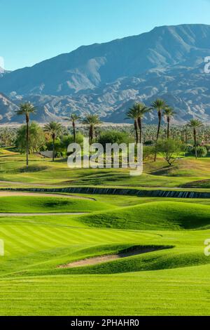 Prato verde e palme in un campo da golf a Palm Springs, California Foto Stock