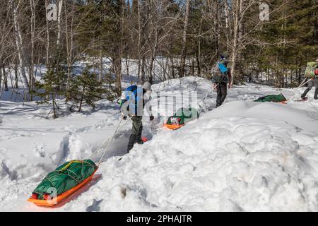 Northern Michigan University classe andando campeggio invernale nella McCormick Wilderness, Upper Peninsula, Michigan, USA [No model release; editorial licen Foto Stock