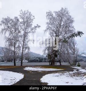 La neve cadde sulla riva con un sentiero circolare vicino agli alberi di Altai. Foto Stock