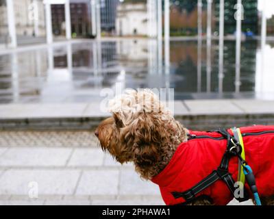 In visita a Birmingham, Regno Unito, Foto Stock