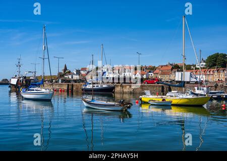 Barche e yacht colorati ormeggiati al porto di St Monans, nella zona est di Neuk, Fife, Scozia, Regno Unito Foto Stock