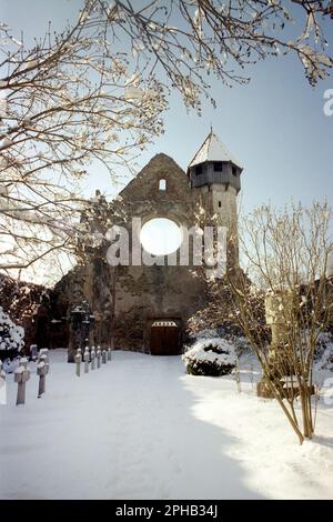 Carta, Contea di Sibiu, Romania, 2001. Le rovine del monastero cistercense medievale (benedettino). Foto Stock