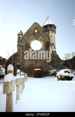 Carta, Contea di Sibiu, Romania, 2001. Le rovine del monastero cistercense medievale (benedettino). Foto Stock