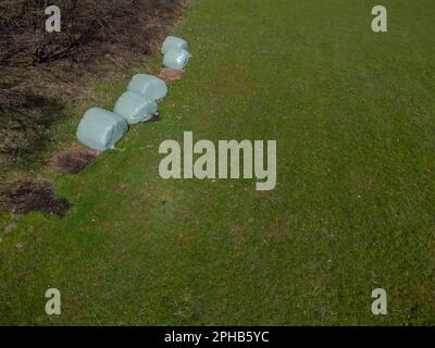 Vista aerea delle balle di fieno arrotolate avvolte in un foglio di plastica accanto a una foresta Foto Stock