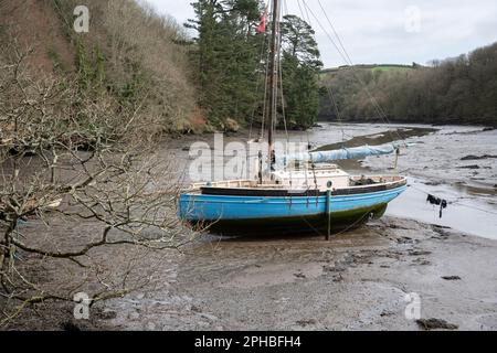 Il 18th marzo 2023, a Manaccan, in Inghilterra, uno yacht si trova nel fango della bassa marea di Gillan Crreek, sul fiume Helford in Cornovaglia. Foto Stock