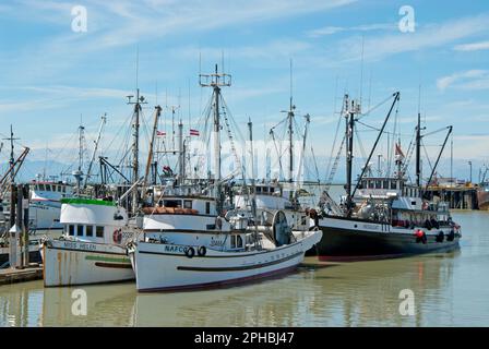 Flotta di barche da pesca, Colombia britannica, Canada Foto Stock